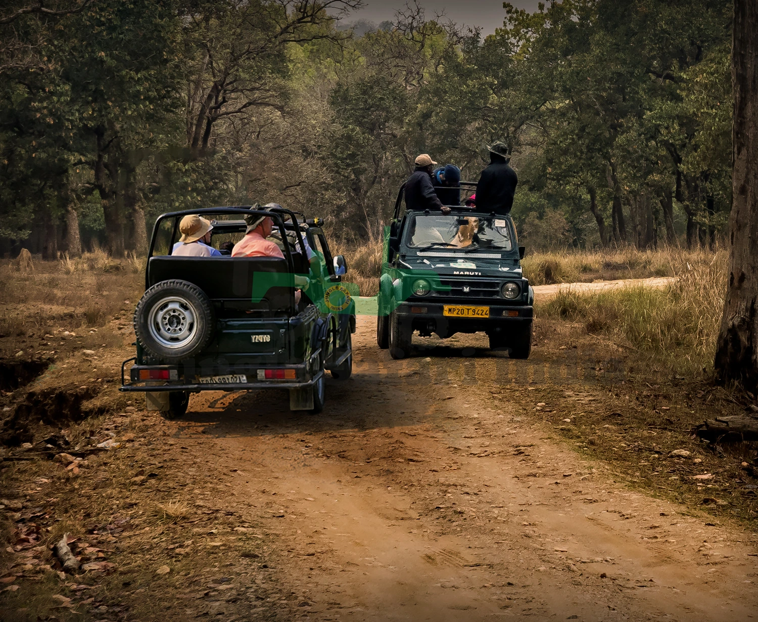 Kanha 2 Nights 3  Days with 2 Times Gypsy Safari